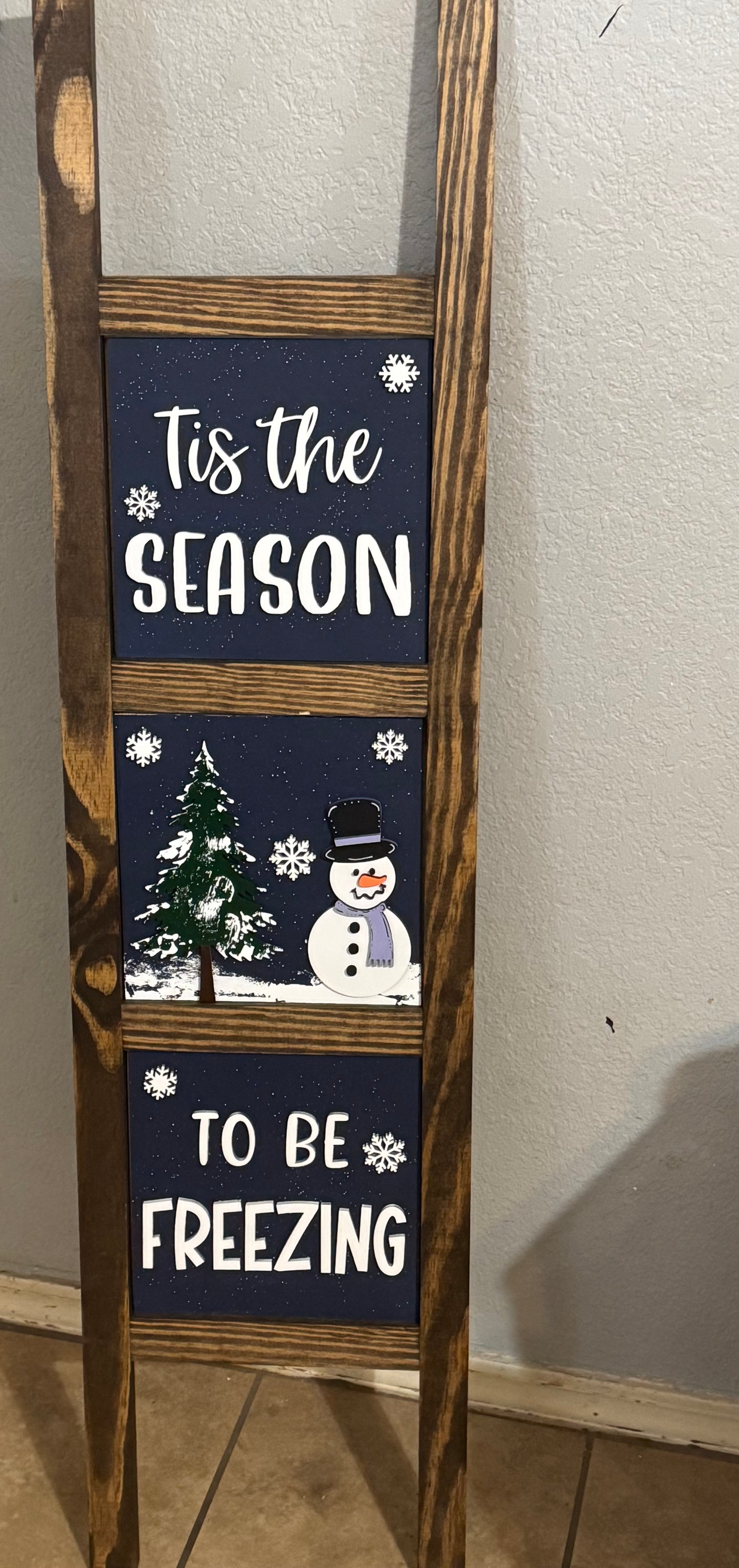 Tis The Season to be Freezing Ladder Inserts