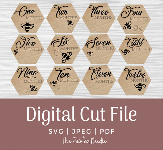Honey Bee Baby Milestone SVG, Monthly Photo Prop (Digital Cut File)